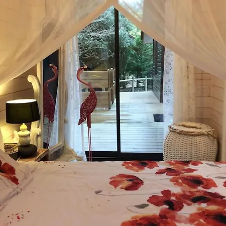 Villa Surplombant La Pinede A 2km De L'ocean Lacanau